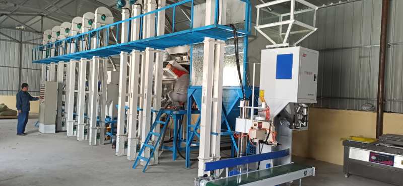 遼寧朝陽(yáng)建平NZJ15噸小米成套加工設(shè)備安裝調(diào)試完畢